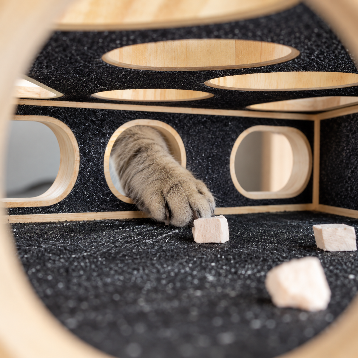 Treat-Hunt Claw Box